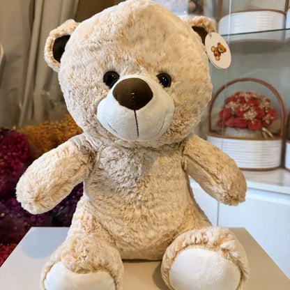 Teddy Bear Large Size (60cm)